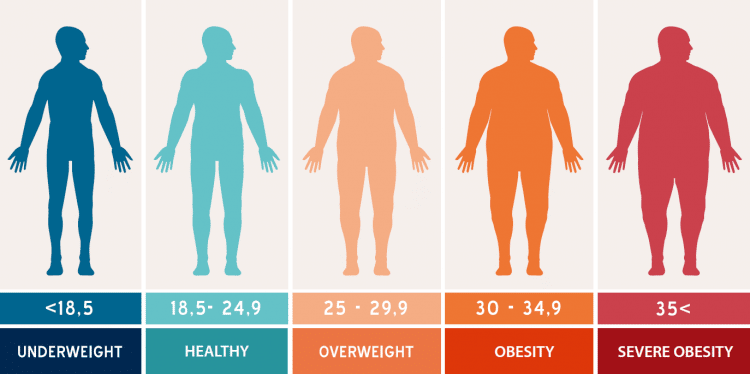 the best body fat percentage scale