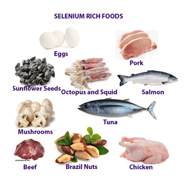 selenium rich foods