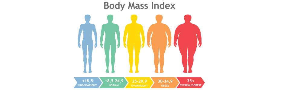 What actually causes obesity?